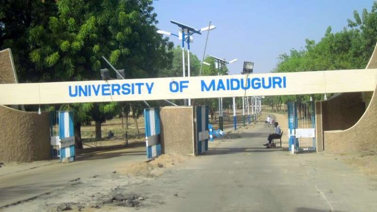 Now ‘at’ UMTH… 48 corpses of UNIMAID staff, NNPC drivers, security personnel killed by Boko Haram