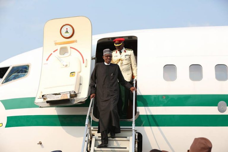 Adesina: If Buhari needs to travel again on health grounds, why not?