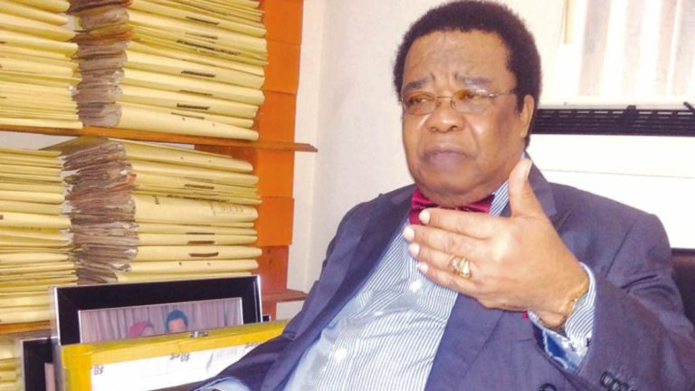 Akinyemi: The average northerner believes in Buhari — not Atiku or IBB