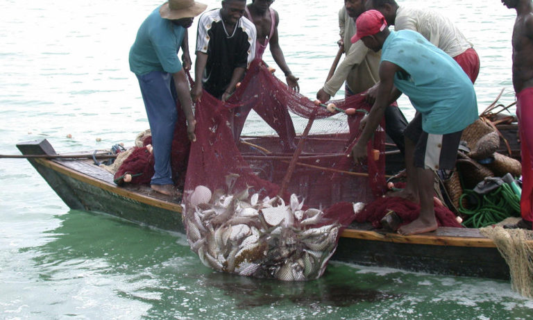 FISH FOR CASH: How the EU robs Africa of its seafood