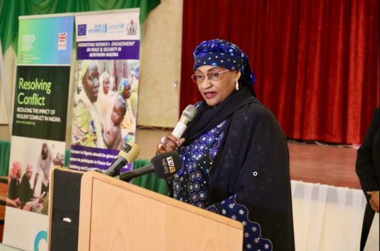 What’s the fuss about Aisha Alhassan’s statement?