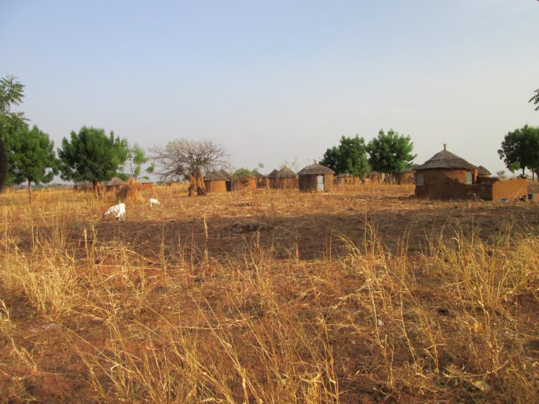 BLOOD ON THE PLATEAU (5): The memoir