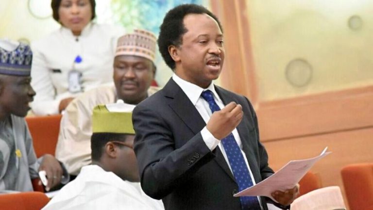Shehu Sani: Kachikwu’s letter proof of a govt within Buhari’s govt