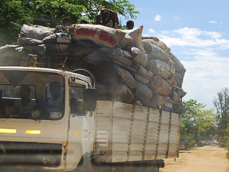 SPECIAL REPORT: Charcoal… feeding the poor, killing the environment
