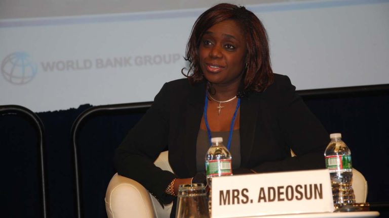FACT CHECK: Does Adeosun have the powers to suspend the SEC DG?