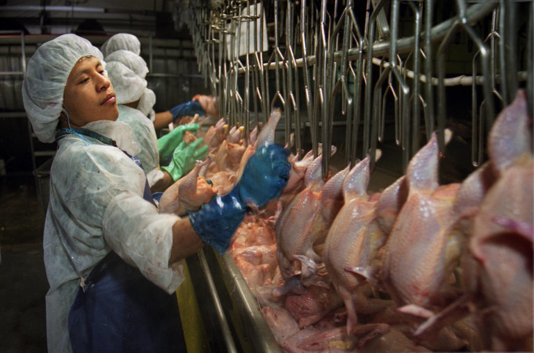 Oxfam reveals how US women poultry workers wear diapers because they’re not afforded toilet breaks