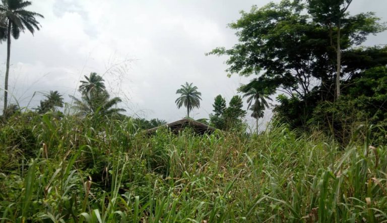 REPORT: Children, pregnant women continue to die as Edo govt. abandons Ikoro health centre