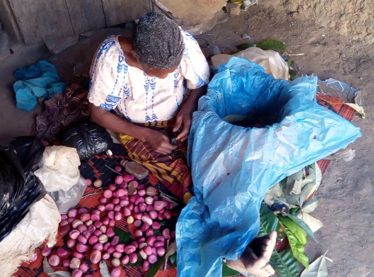 More secrecy surrounds female circumcision in South West Nigeria despite war against practice