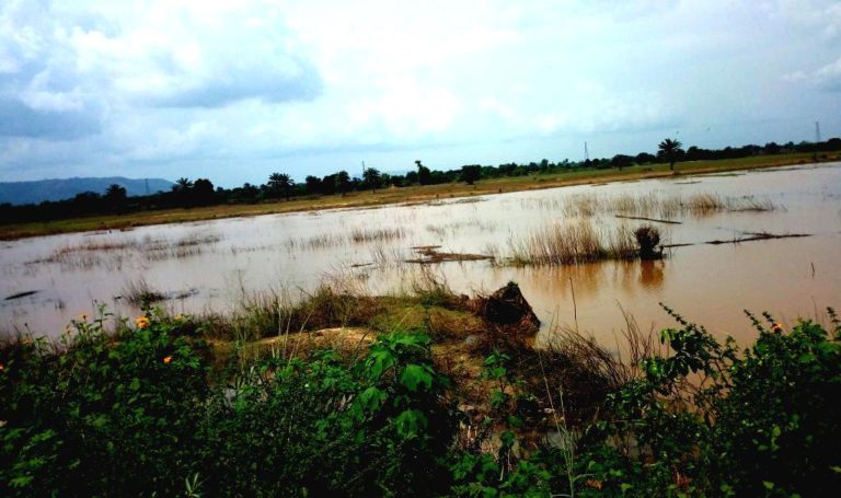 Kogi flood victims who lost everything are still homeless, broke  despite govt. promise… [1]