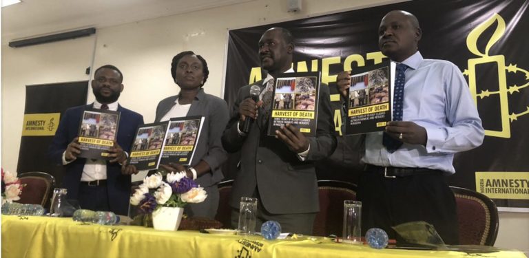 ‘It’s just an empty threat’: Amnesty International says Army can’t stop its work in Nigeria