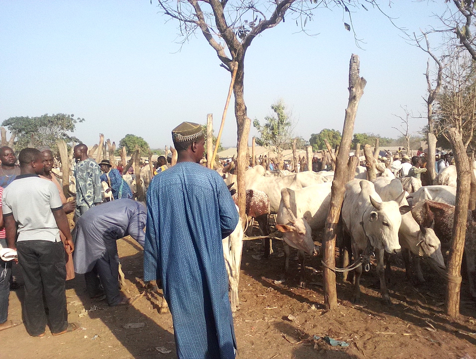 Taraba emir issues eviction notice to herders, accuses them of kidnapping