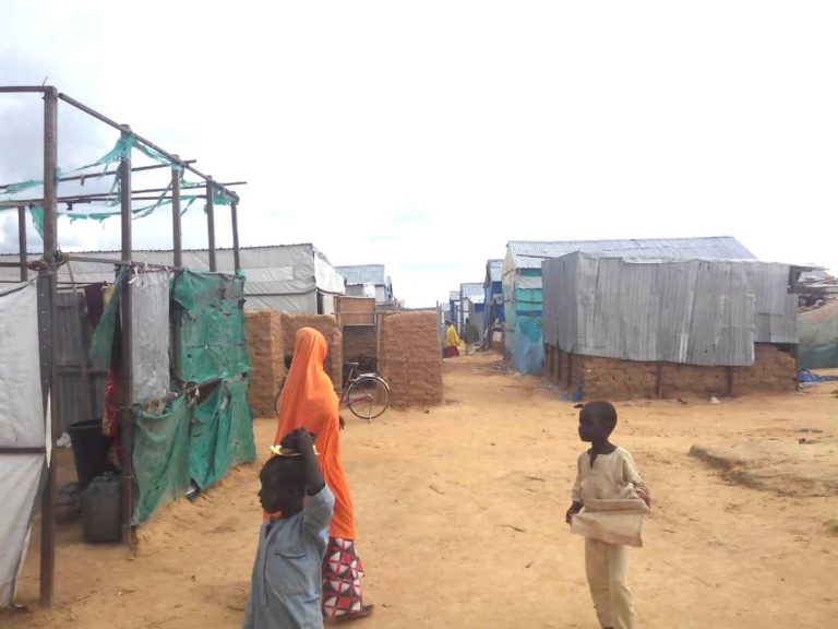 IDPs lament inadequate food, poor shelter in Borno as PCNI  completes assignment in less than one year