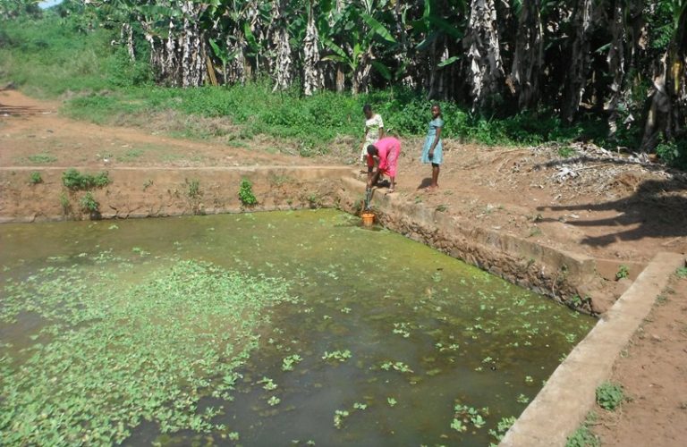 INVESTIGATION: Failed constituency projects litter Ekiti communities