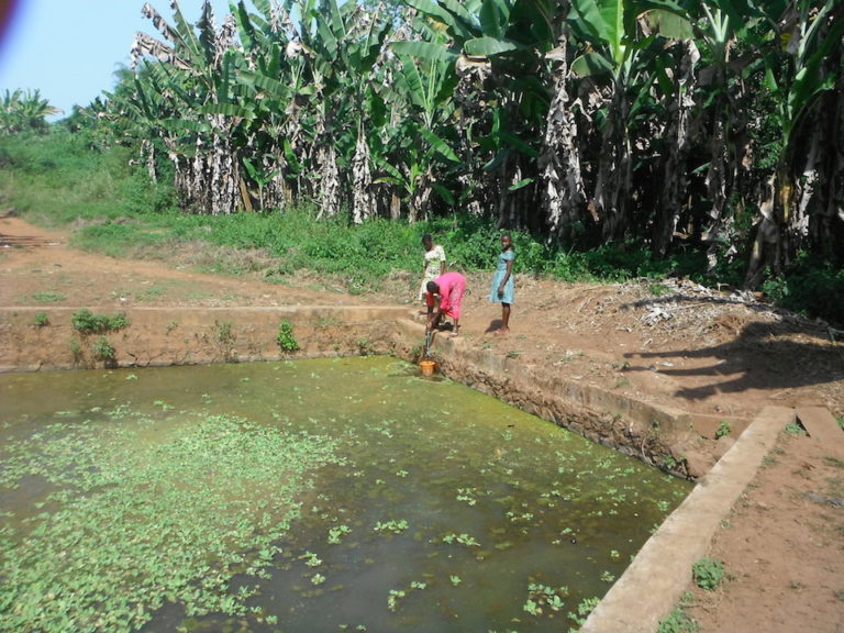 Failed Ekiti constituency projects: Client, contractor in blame game as multi-million naira boreholes dry up (Part 2)