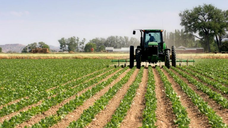 FBN Holdings’ total loan to agric sector less than 3% in 5 years