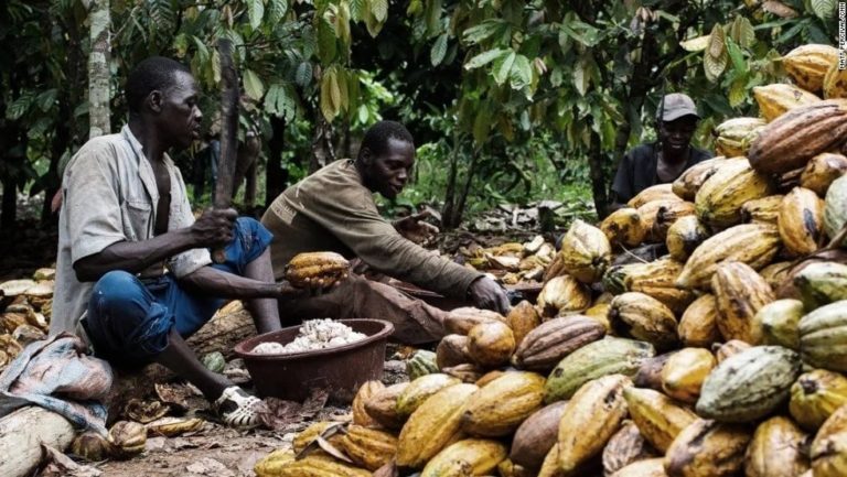 Food Security: Ghana, Rwanda beat Nigeria to gain AU recognition on Malabo Declaration