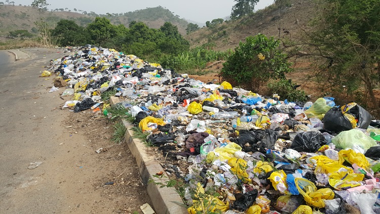 Refuse dump along Lower Usman Dam, Bwari                     Photo Credit: Olugbenga Adanikin The ICIR