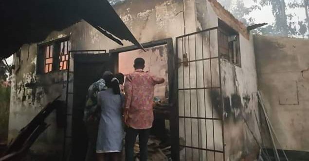 Snakes now attack doctors, nurses on duty in Anambra hospital, lawmaker cries out