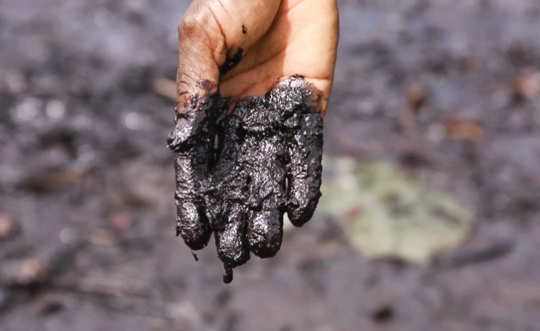 SPECIAL REPORT: Life in Ogoniland still cruel as ever three years after cleanup’s launch (1)