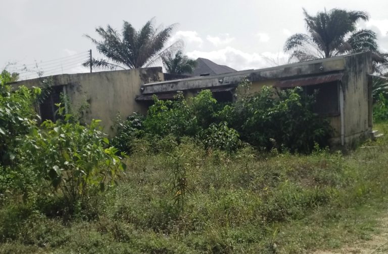 INVESTIGATION: Nigeria’s Industrial Development Centres in its ‘death throes’ (Part1)
