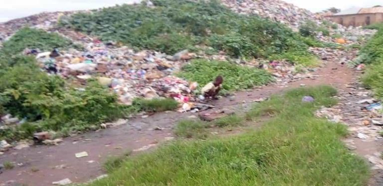 Nigeria needs 3.9 million toilets annually to end open defecation – UNICEF