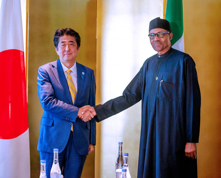 OPINION: Like Buhari, I love cartoons!