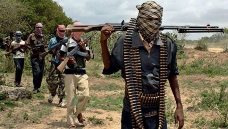 Terrorists demand N150m ransom to release 136 kidnapped Niger pupils