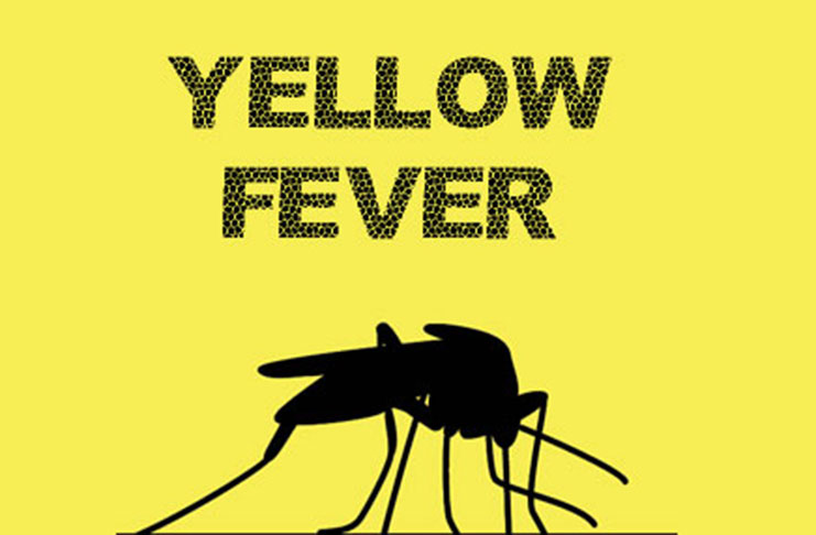 Nigeria yellow fever cards