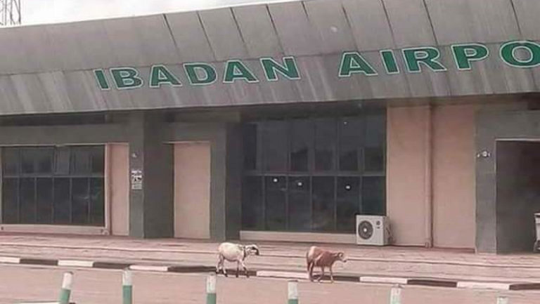 Private jet overshoots runway in Ibadan, 10 escape death