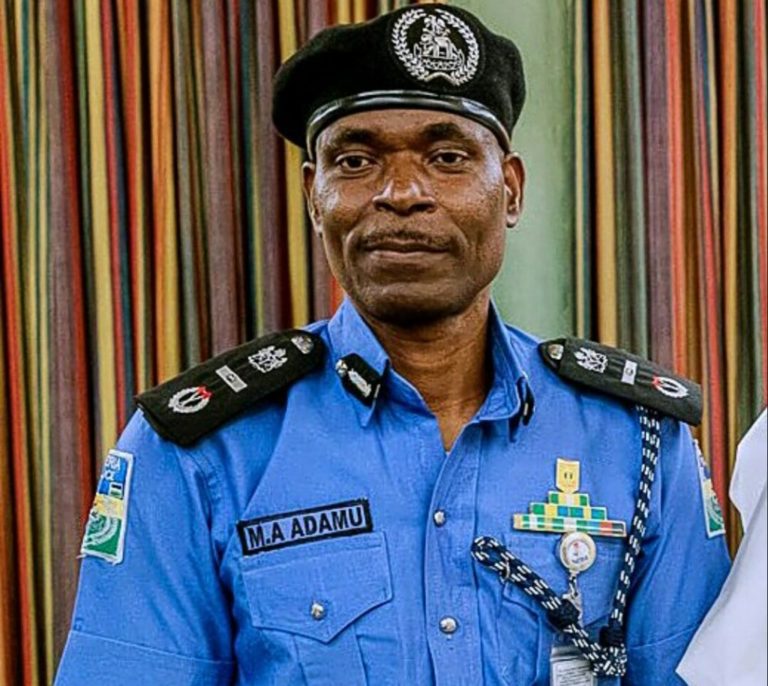 Lockdown order: IG of Police warns officers against trampling on rights of citizens, Nigerian Army keeps mum