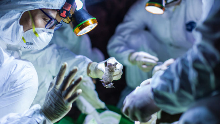Sixty-six-year-old Briton dies of coronavirus in Lagos
