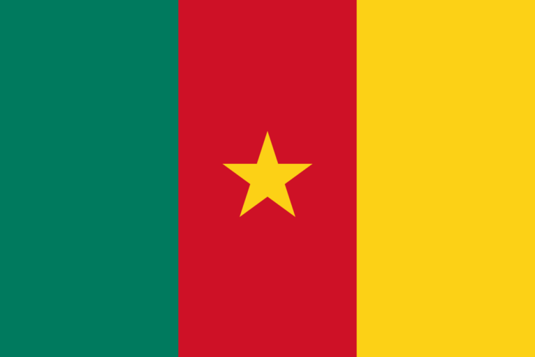 Cameroon confirms first case of COVID-19 as deadly virus spreads across Africa