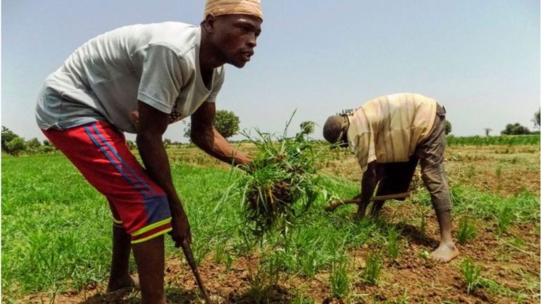 Nigeria, South Africa record stagnant real GDP per capita since 2014 – IMF