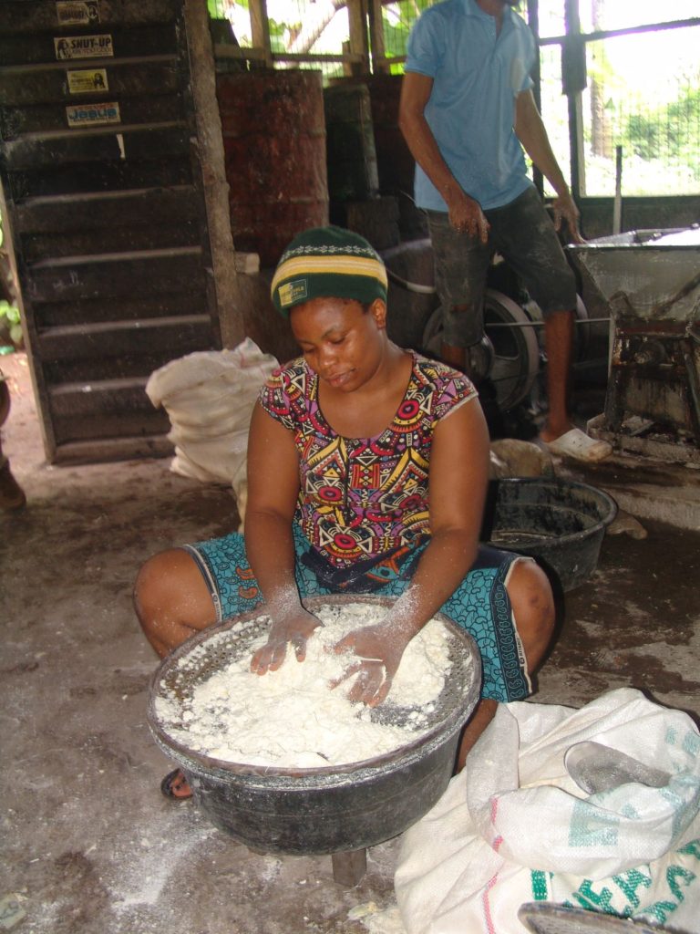 COVID-19: Women farmers in Anambra  recount negative impacts on businesses