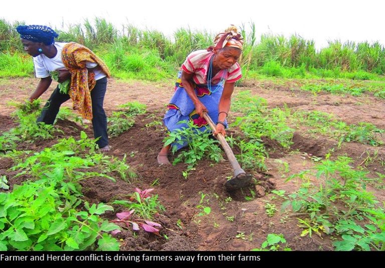 Small-scale women farmers canvass increased budgetary allocation to agriculture