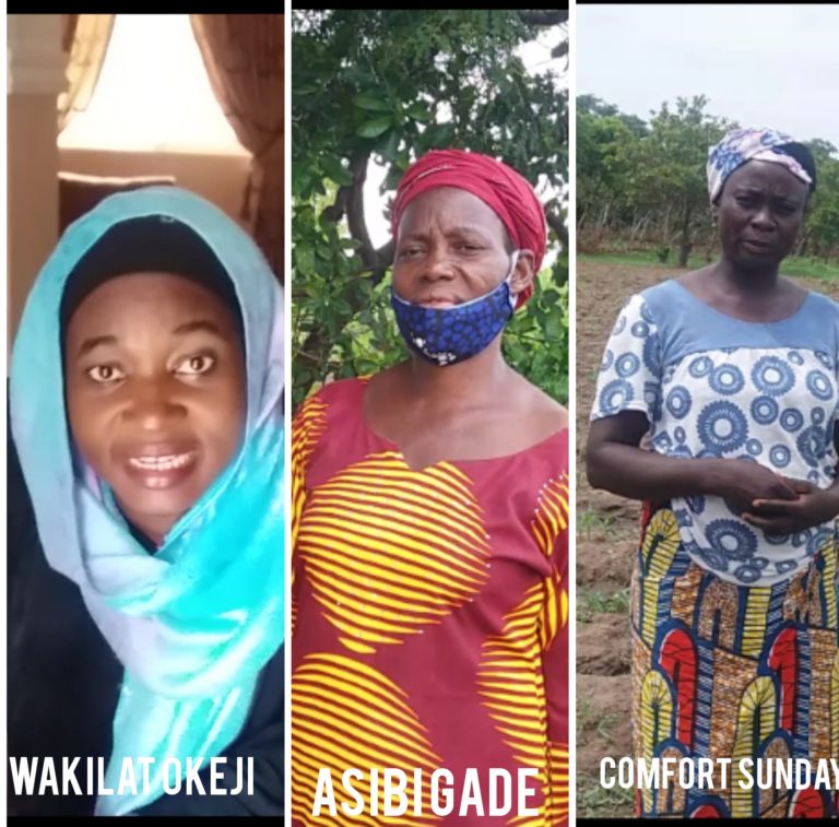 FCT women farmers worry about insecurity, resources