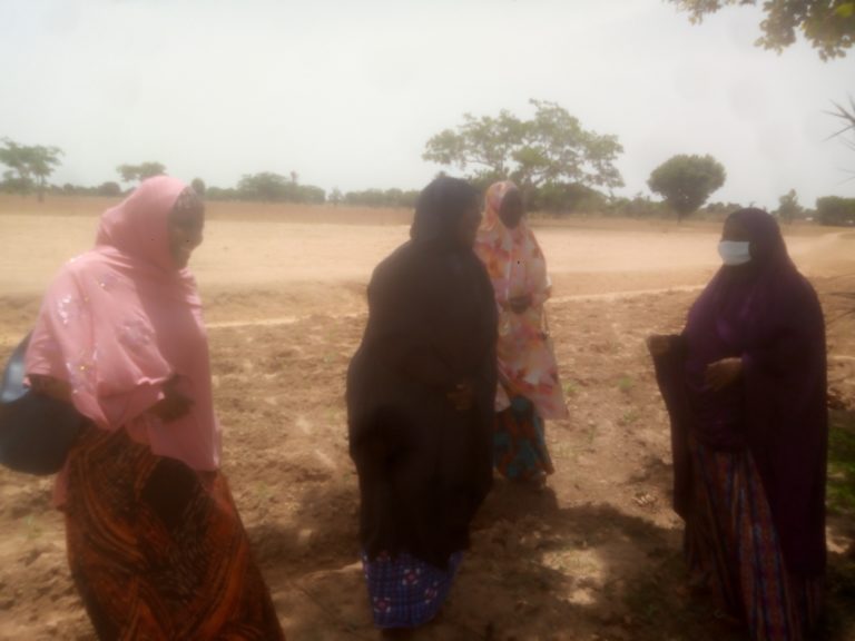 Living with pain and poverty: Story of Jigawa state women farmers