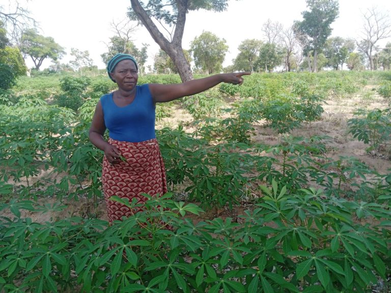 Women farmers helpless as COVID-19 deepens poverty in Nasarawa