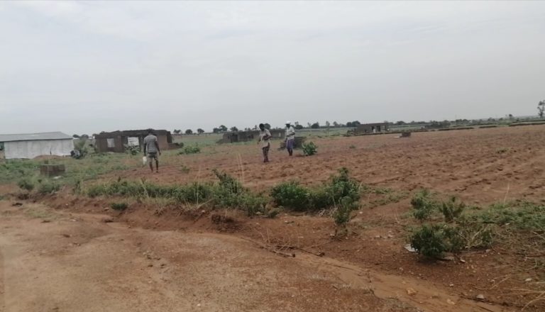 Smallholder farmers recount tales of woes during lockdown