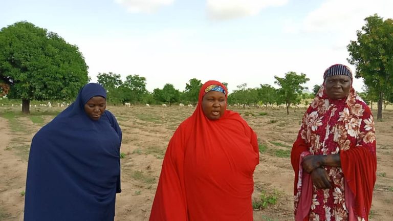 COVID-19: Insecurity, lack of government support may trigger famine in Niger