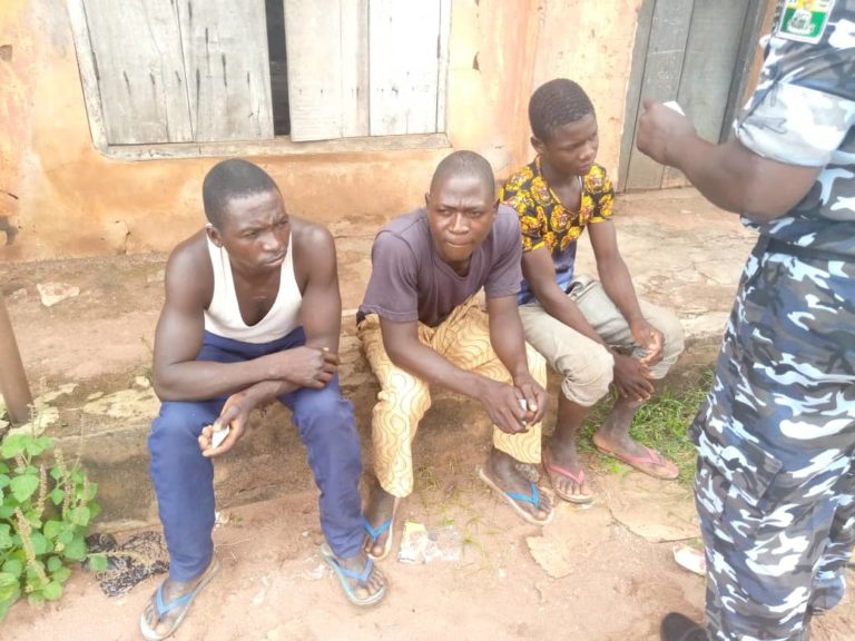 Police nab 3 for allegedly voting with fake PVC  in Edo North-East