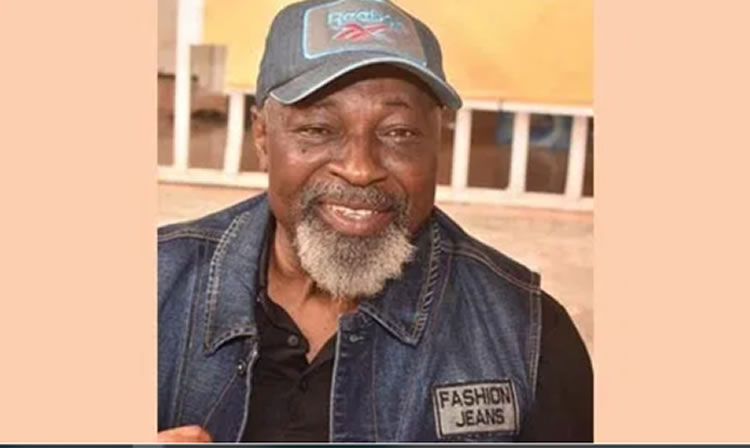 How Buhari’s Minister, DIG Ogbizi unlawfully detained me for 29 days – 71 years old publisher