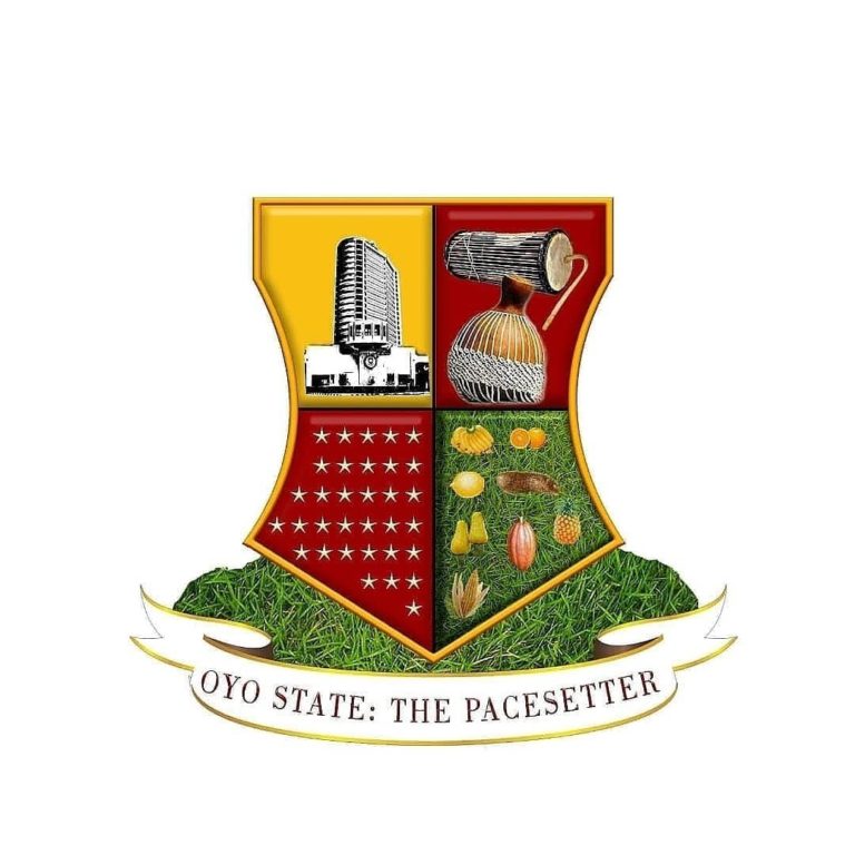 Oyo state approves 6-month maternity leave for state civil servants