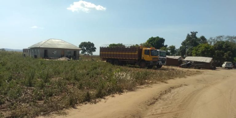 ‘Digital farmers’ scandal: Nigerians lose hope, investment to phoney agro projects