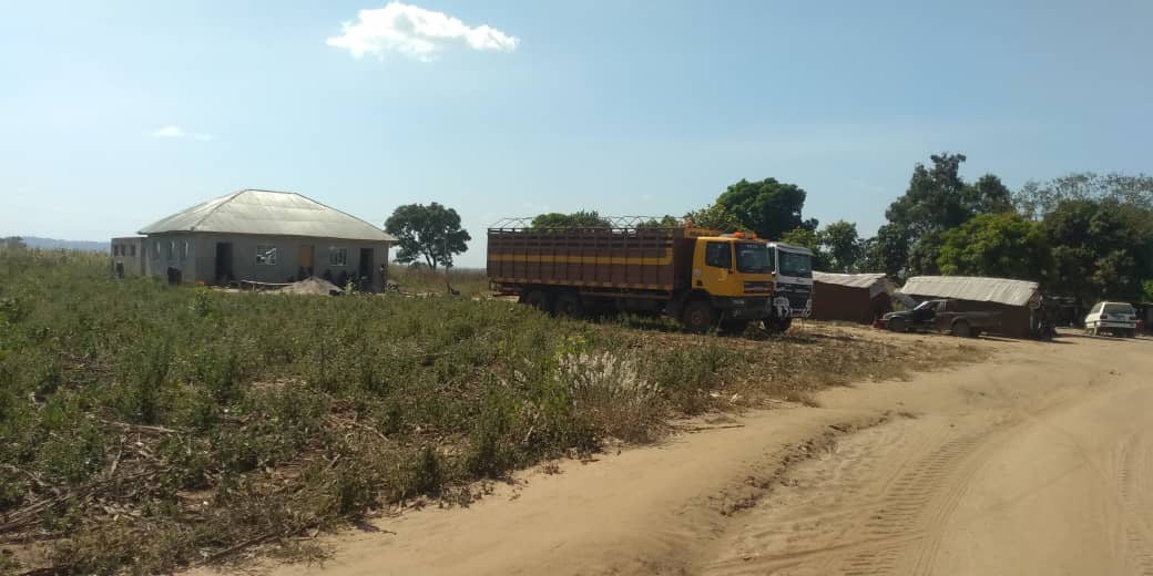 Trucks waiting to convey farm produce from Ho Corn farm