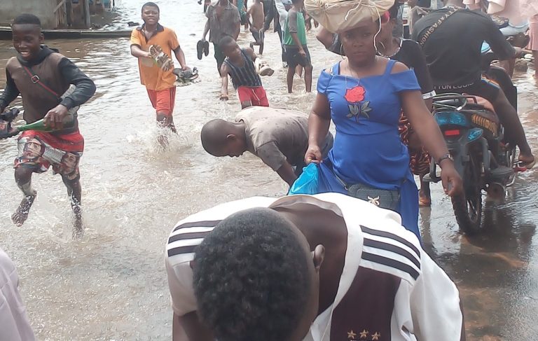 Food crisis looms as climate change negatively impacts Anambra communities