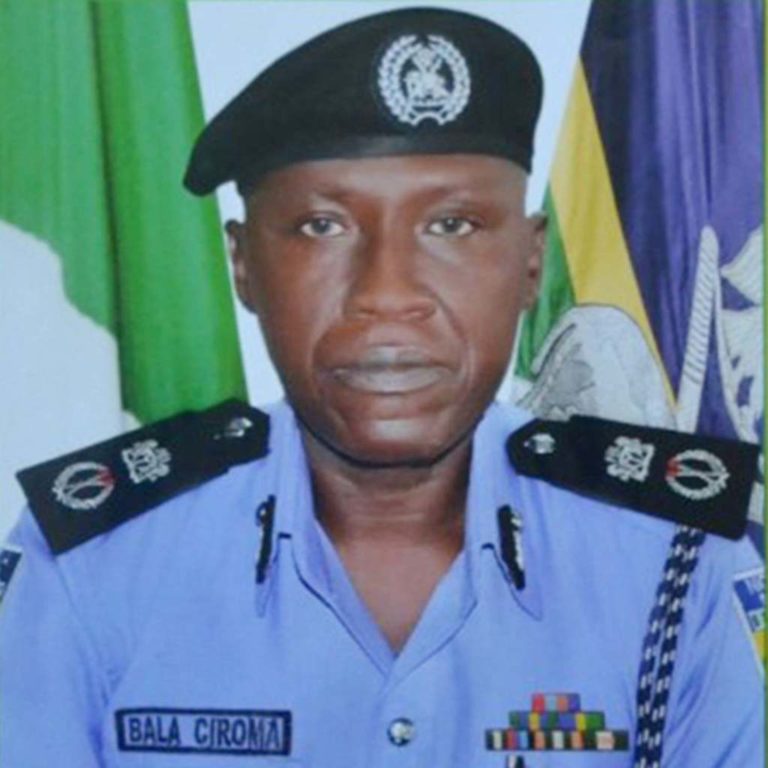 Insecurity: Police commissioner orders patrols around schools in FCT