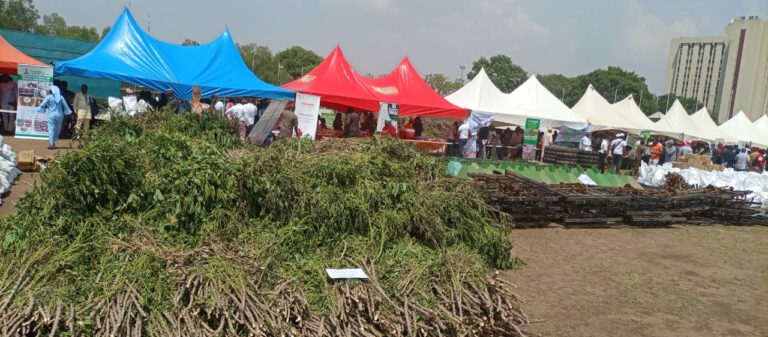 Women farmers demand better security as FG distributes agric inputs