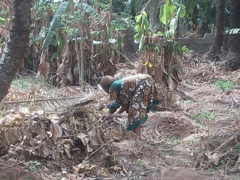 One of the women farmers clearing the land in readiness for planting