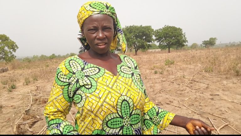 SPECIAL REPORT: Women farmers respond to climate change using alternative cultivation methods